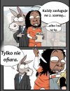 W tym systemie brak logiki 