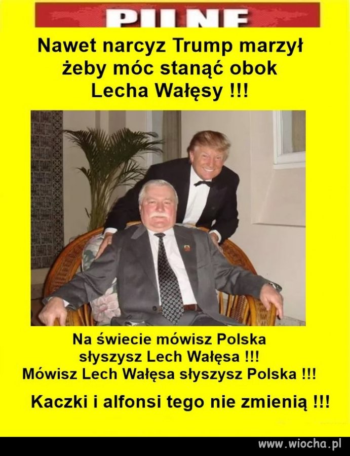 Kaczora nikt na świecie nie zna ...