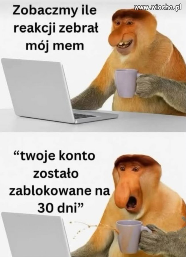 Memy tak dobre, że aż nielegalne