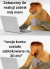 Memy tak dobre, że aż nielegalne