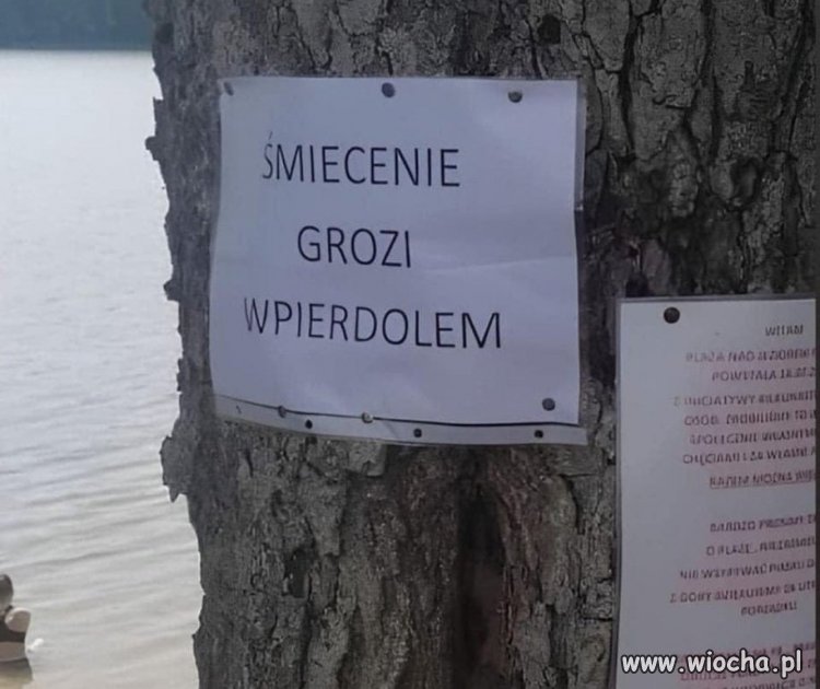 Prosty przekaz 