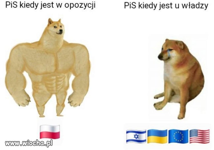 Na opozycji ? Polska strong ?. 
