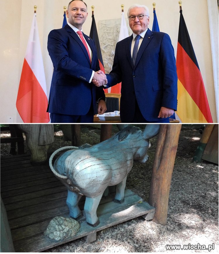 Nawrocki wraca ze złotem!!!