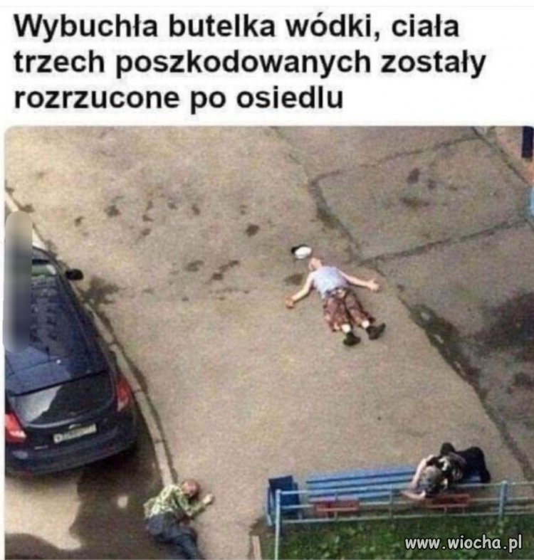 Rozrywka wśród elektoratu batyra i pisu 
