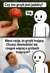 Oj tam oj tam selekcja naturalna 