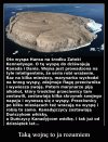 Taka ciekawostka