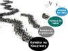 A Ty w której kolejce aktualnie?