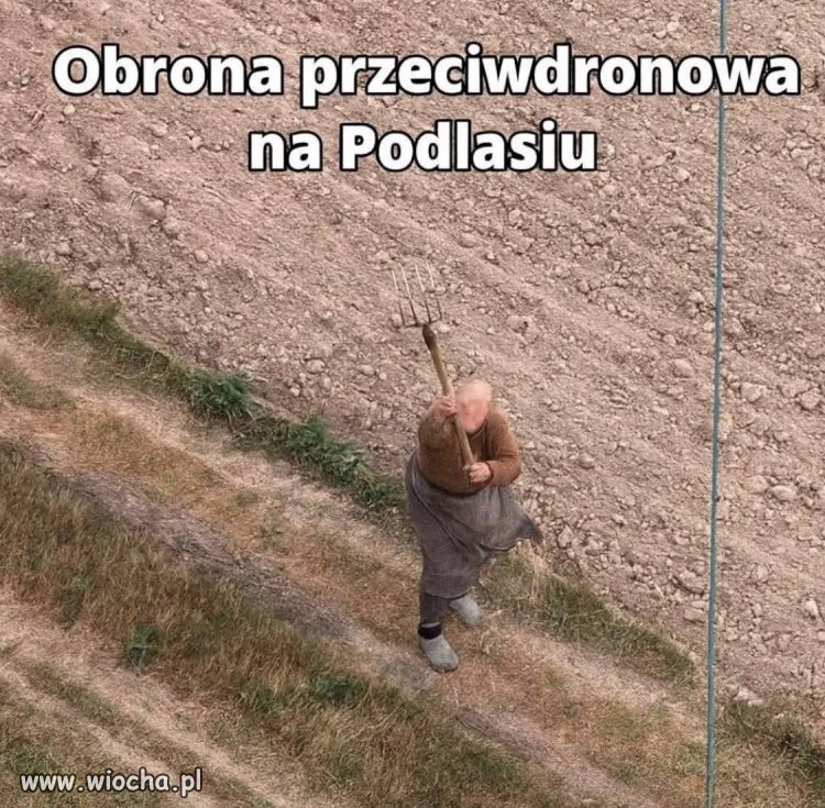 System Patriot na polską kieszeń