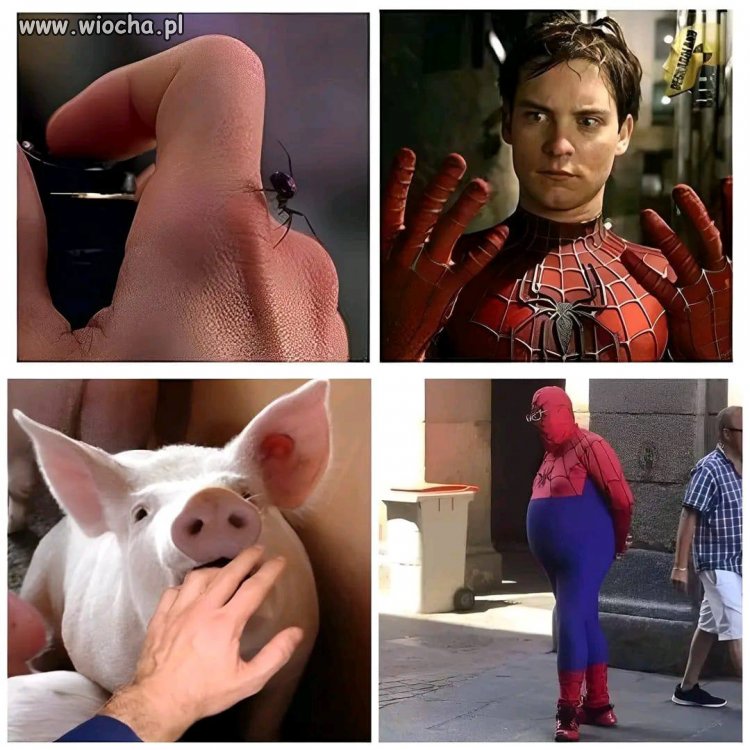 Od pająka do parówki ? alternatywne origin story ???