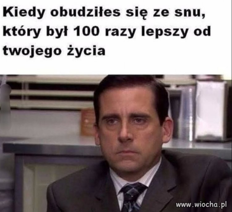 I tak wygląda całe życie pisowców 