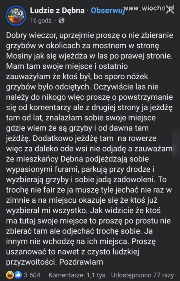No tak, nie wolno porostu się noe godzi 
