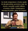 Polska złota jesień