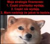 To taka ogólnopolska strategia 