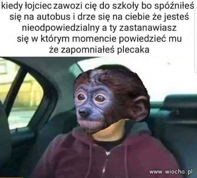Nowy rok szkolny