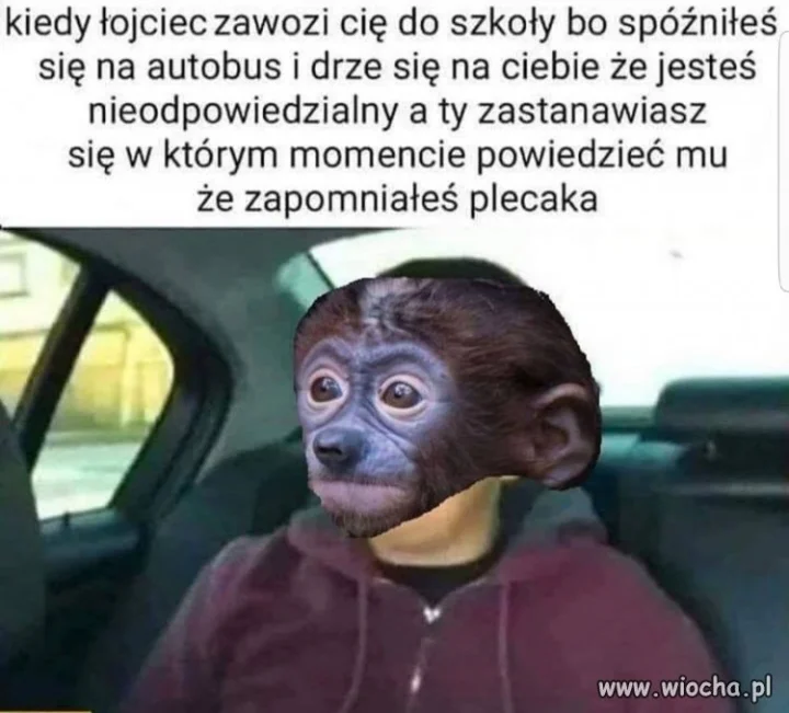 Nowy rok szkolny