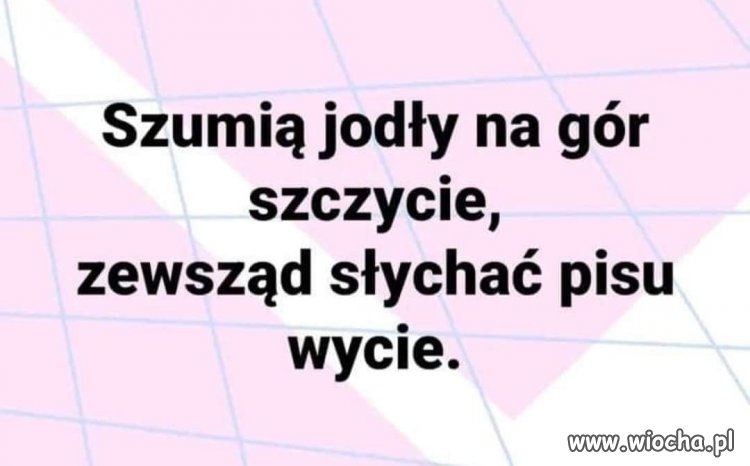 A niech wyją! Im głośniej tym lepiej!