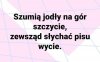 A niech wyją! Im głośniej tym lepiej!
