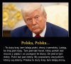 Donald i jego reakcja