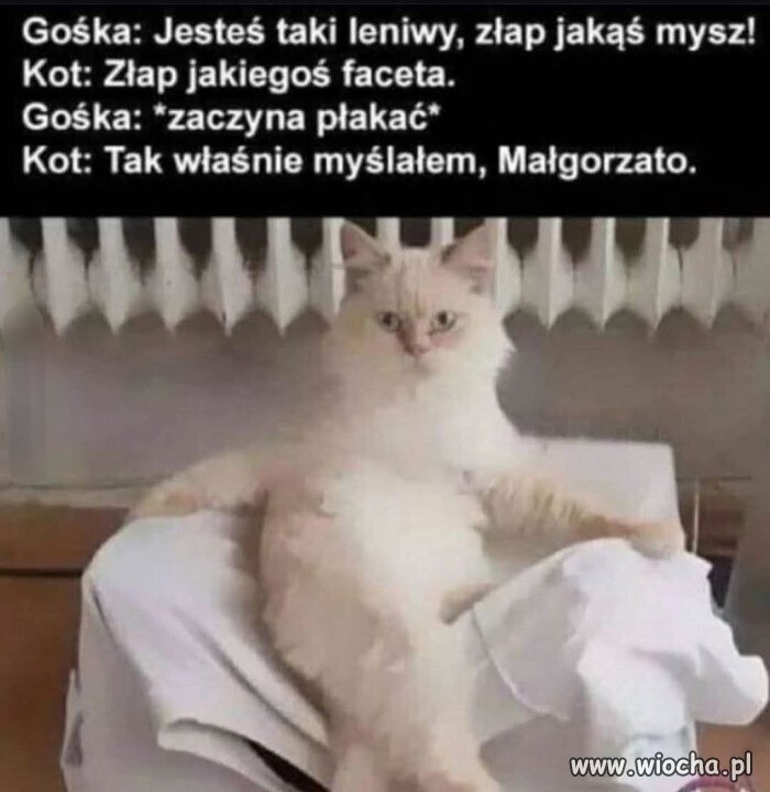 Bez polityki 