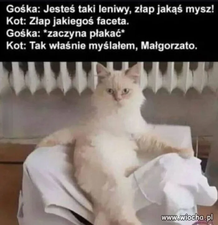 Bez polityki 