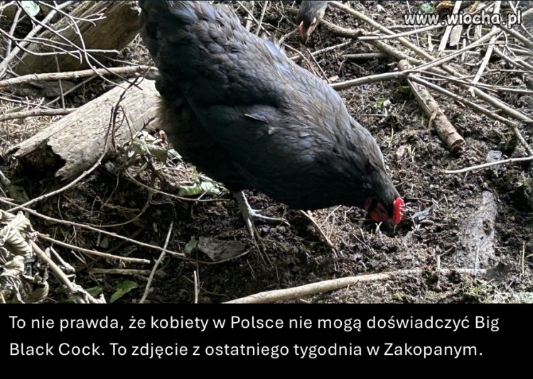 BBC legendy wiedą