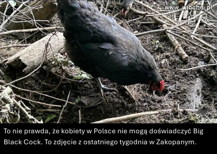 BBC legendy wiedą
