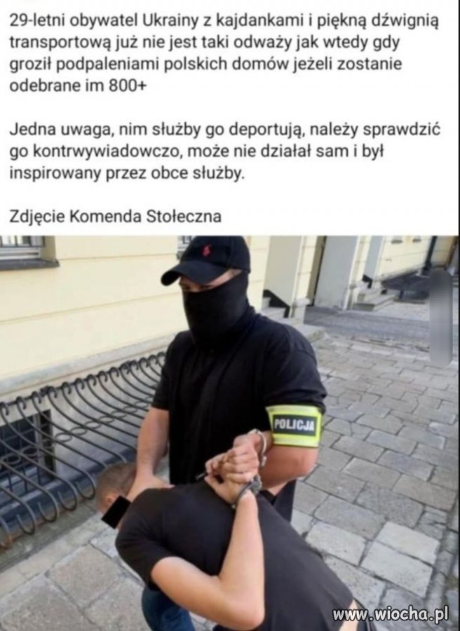 Takich mi nie żal, takich mi nie szkoda 