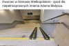 Bezpieczeństwo? Zbędny luksus