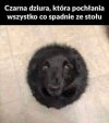 Psia czarna dziura