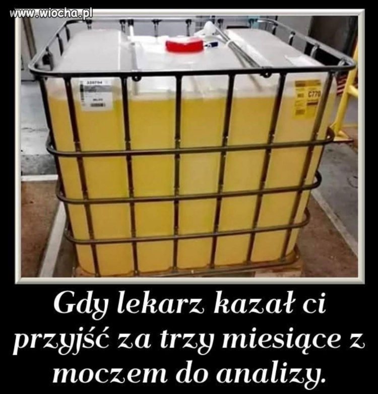 Jak coś robić, to z rozmachem
