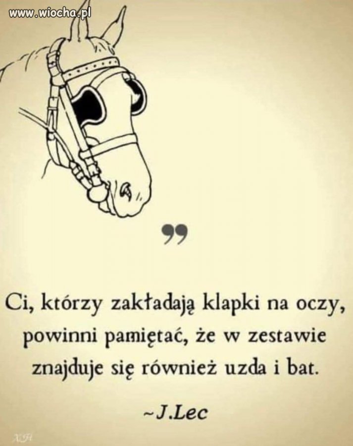 Uzda i bat