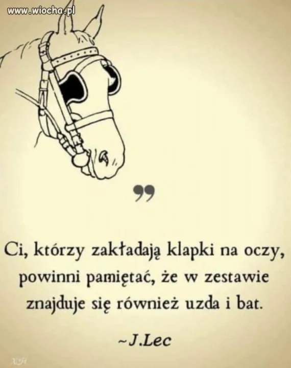Uzda i bat