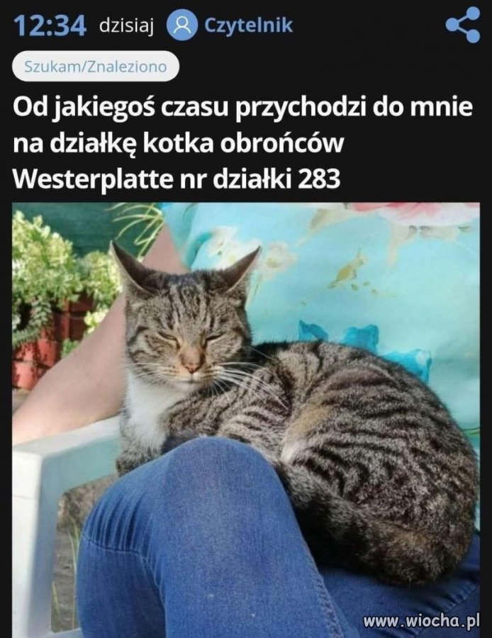 A wystarczyło wstawić znak interpretacyjny 