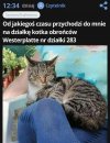 A wystarczyło wstawić znak interpretacyjny 