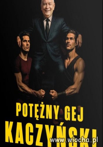  wrzutka o "Alfons" dr. Sarny zebrała same minusy