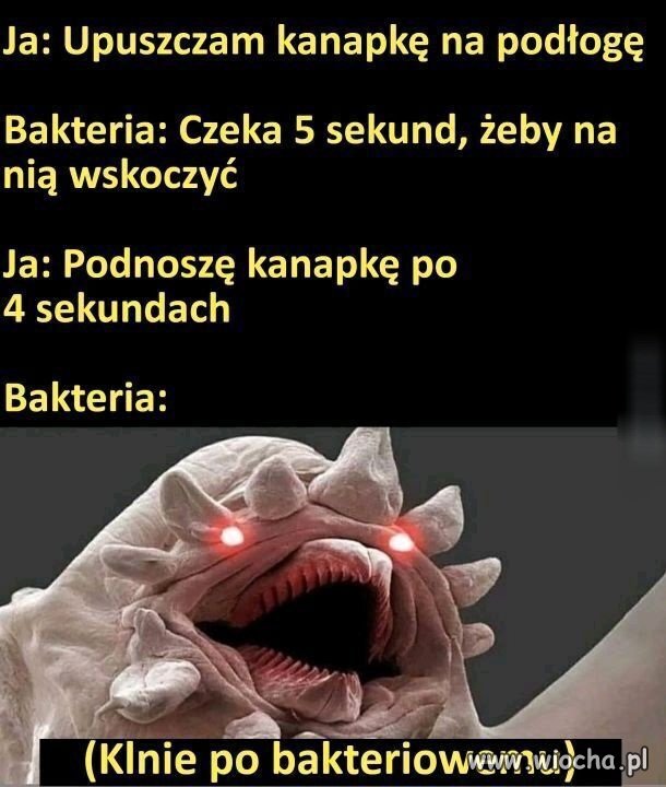 Bez polityki i bez religi 