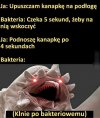 Bez polityki i bez religi 