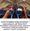 Kiedy koń ma więcej przywilejów niż ty w tanich liniach  