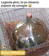 Legenda o szwagrze