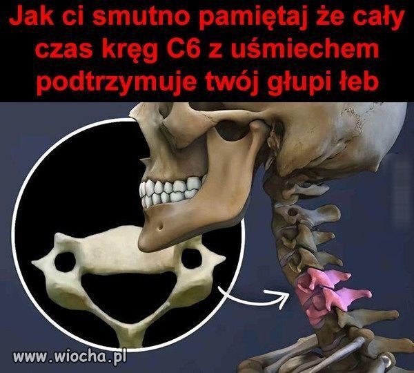 A u połowy Polaków ma bardzo lekka pracę 