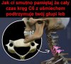 A u połowy Polaków ma bardzo lekka pracę 