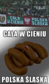 Cała w cieniu 
