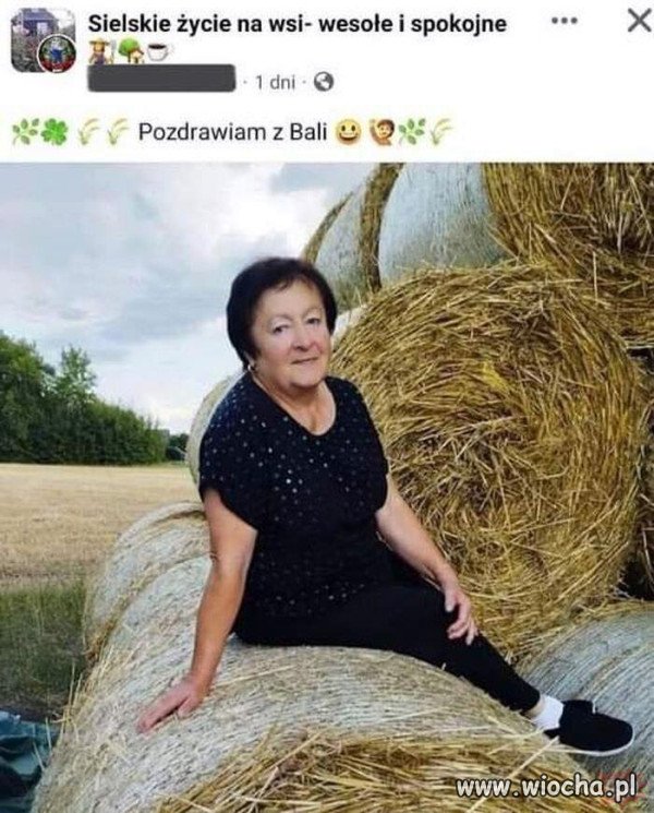 Rolniczka Jacht z Podlasia.
