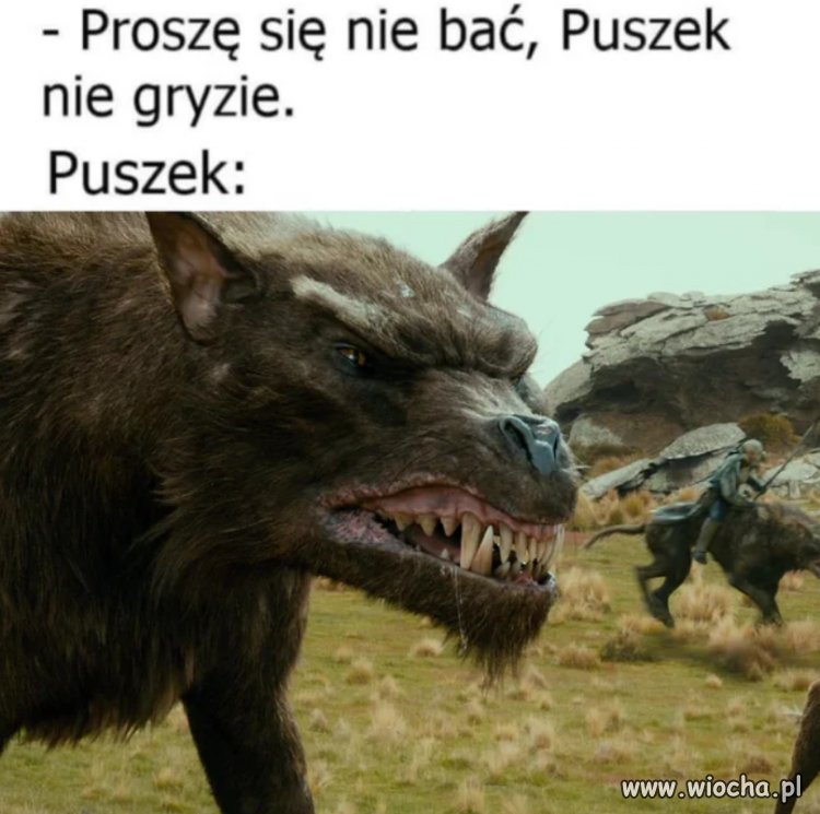 Puszek nie gryzie, tylko degustuje
