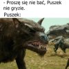 Puszek nie gryzie, tylko degustuje