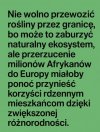 Niech mi to ktoś jakoś wytłumaczy 