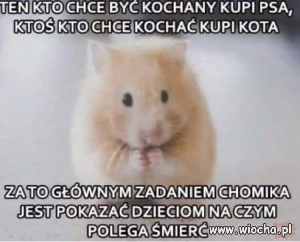 Święta prawda.