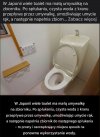 Japońska logika w toalecie