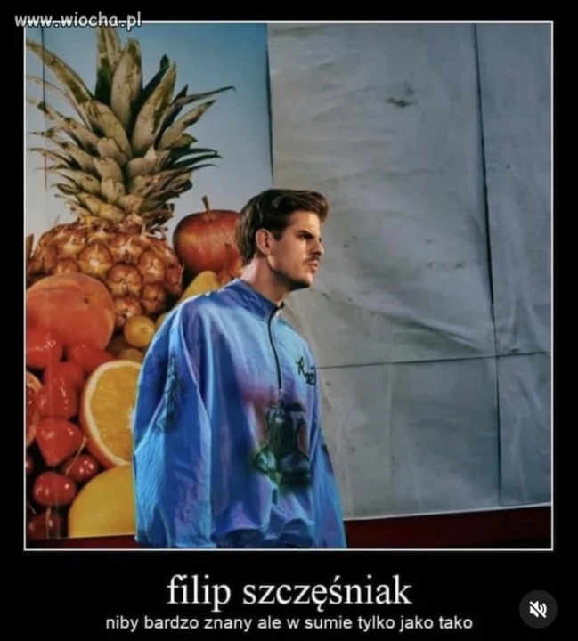Po japońsku