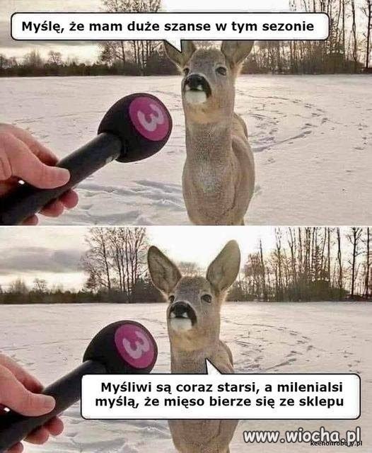 A pokolenie Z - że z lodówki